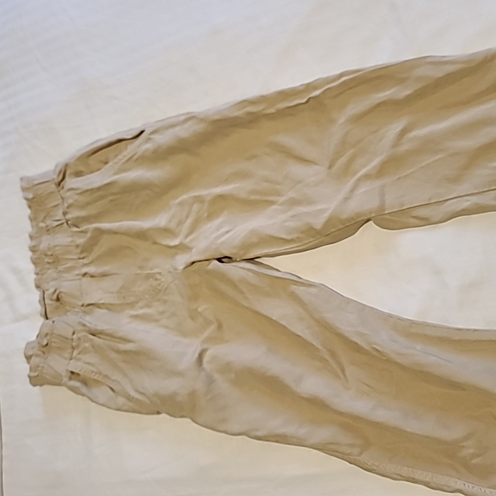 Aritzia Babaton Pants